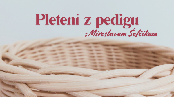 Pletení z pedigu