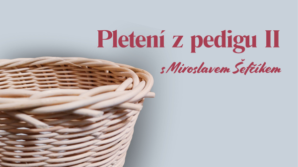 Pletení z pedigu II