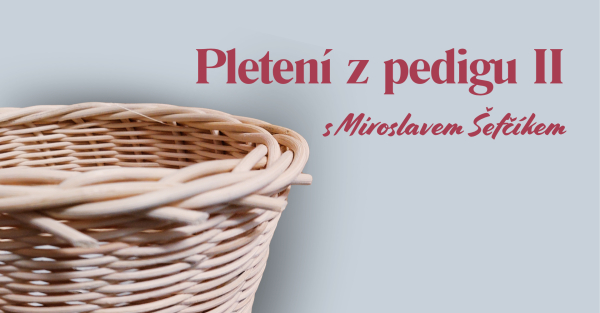 Pletení z pedigu II