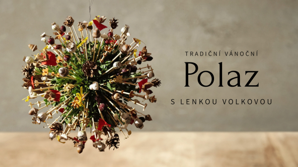 Polaz