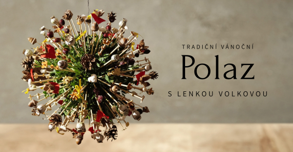 Polaz