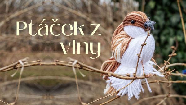 Ptáček z vlny