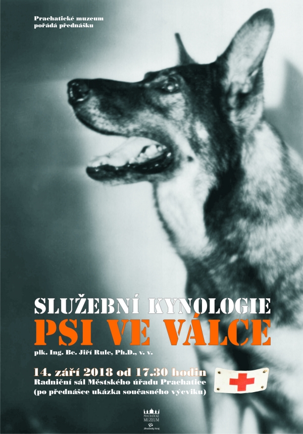 Služební kynologie. Psi ve válce