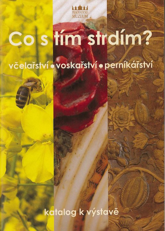 Mgr. Petra Richterová: Co s tím strdím?